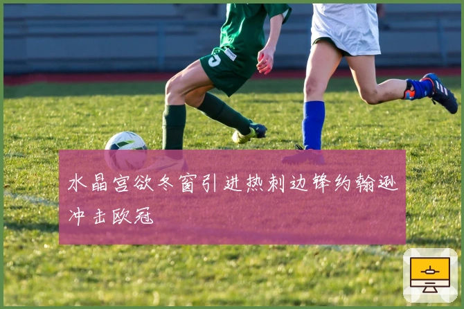 水晶宫欲冬窗引进热刺边锋约翰逊冲击欧冠