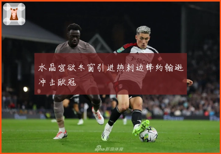 水晶宫欲冬窗引进热刺边锋约翰逊冲击欧冠