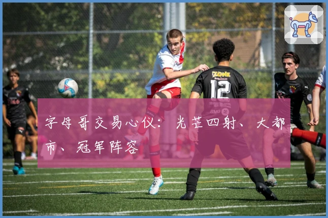 字母哥交易心仪：光芒四射、大都市、冠军阵容